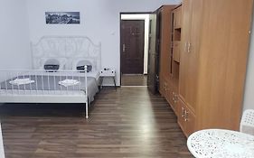 Studio Ris Harmanului Brasov Centrul Nou